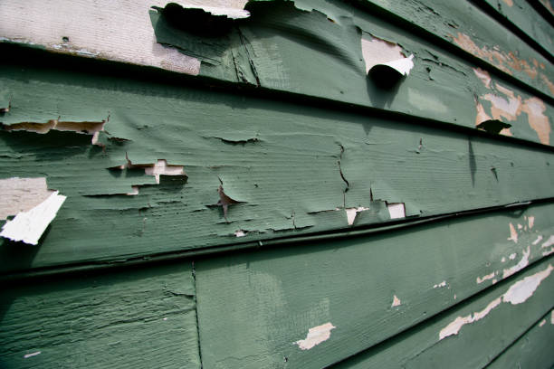Best Stone Veneer Siding  in West Bend, WI